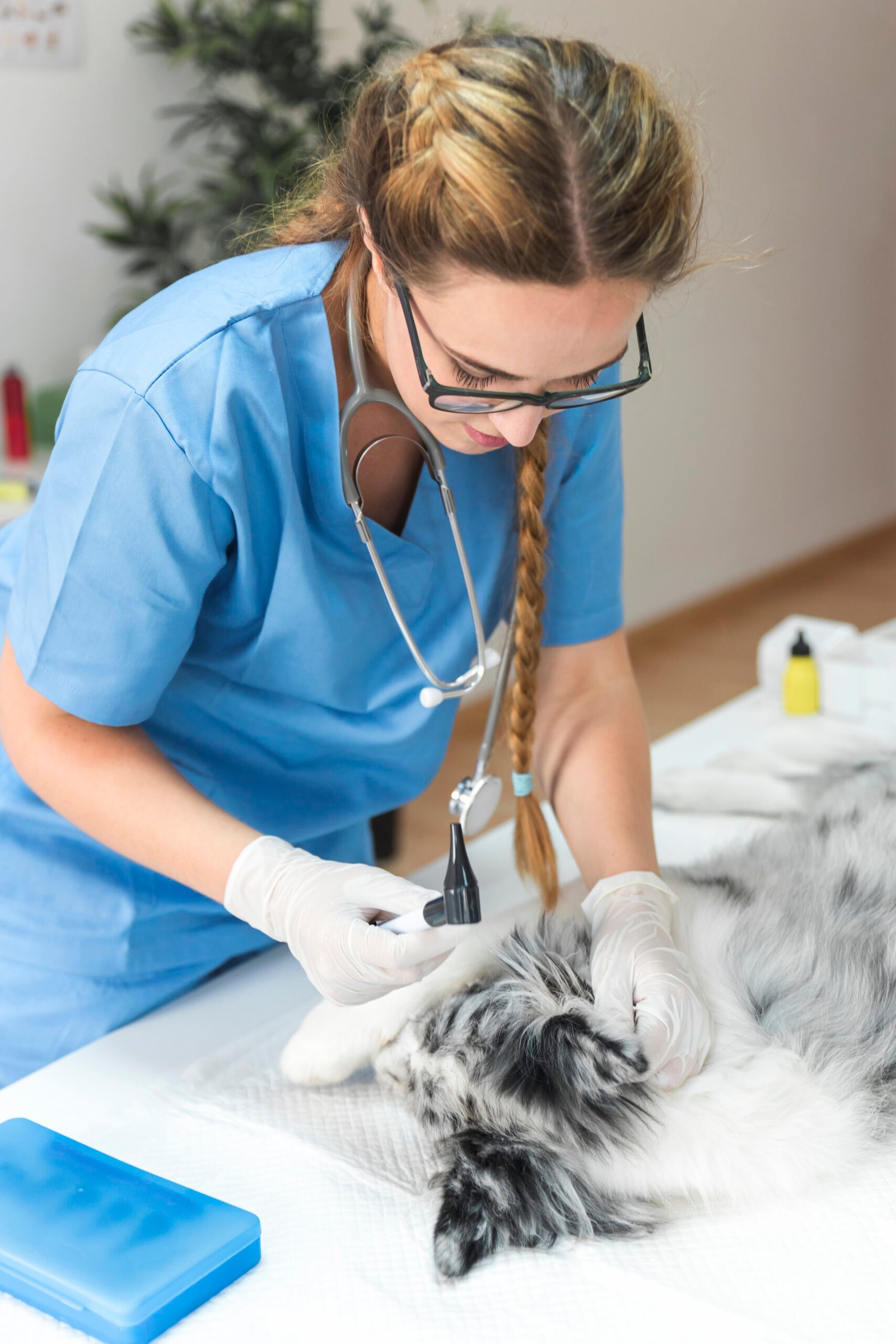 Pets industries image